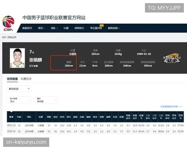 篮球挑战判罚规则解析：主教练如何正确申请和使用